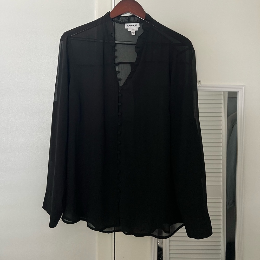 Express Sheer Blouse